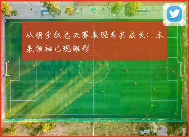从胡金秋总决赛表现看其成长：未来领袖已现雏形