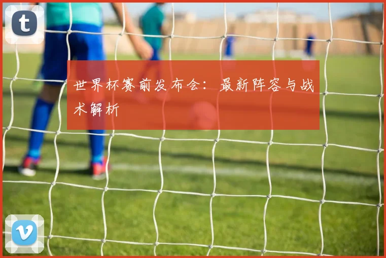 世界杯赛前发布会：最新阵容与战术解析